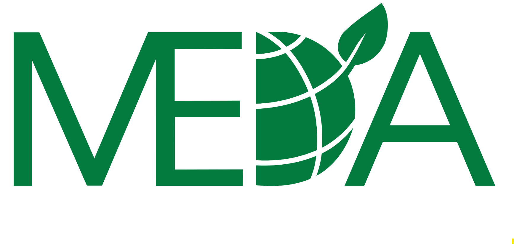 MEDA logo